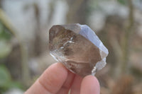 Natural Clear Smokey Quartz Crystals  x 12 From Malawi - Toprock Gemstones and Minerals 