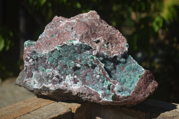 Natural Extra Large Drusy Coated Malachite On Red Dolomite Specimen x 1 From Likasi, Congo - Toprock Gemstones and Minerals 