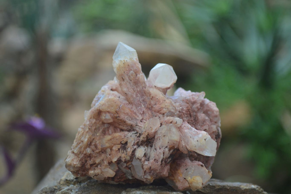 Natural Pink Candle Quartz Specimens   x 5 From Madagascar - Toprock Gemstones and Minerals 