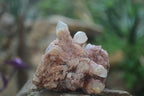 Natural Pink Candle Quartz Specimens   x 5 From Madagascar - Toprock Gemstones and Minerals 