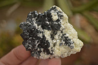 Natural Schorl Black Tourmaline Specimens x 12 From Erongo, Namibia