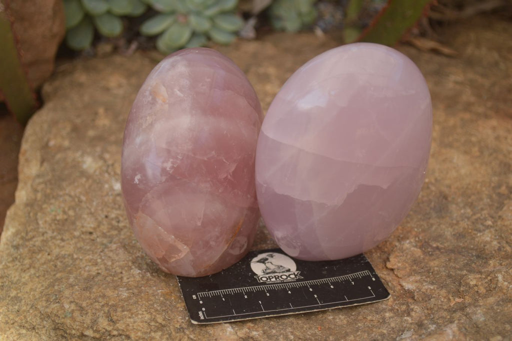 Polished Gemmy Pink Rose Quartz Standing Free Forms x 3 From Madagascar - Toprock Gemstones and Minerals 