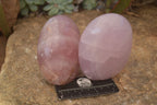 Polished Gemmy Pink Rose Quartz Standing Free Forms x 3 From Madagascar - Toprock Gemstones and Minerals 