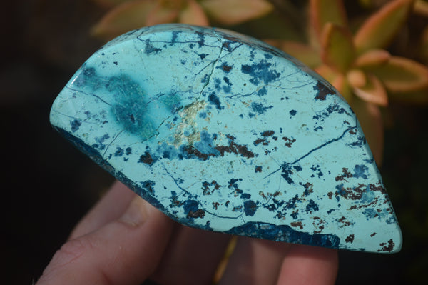 Polished Blue Shattuckite Free Forms  x 3 From Namibia - Toprock Gemstones and Minerals 