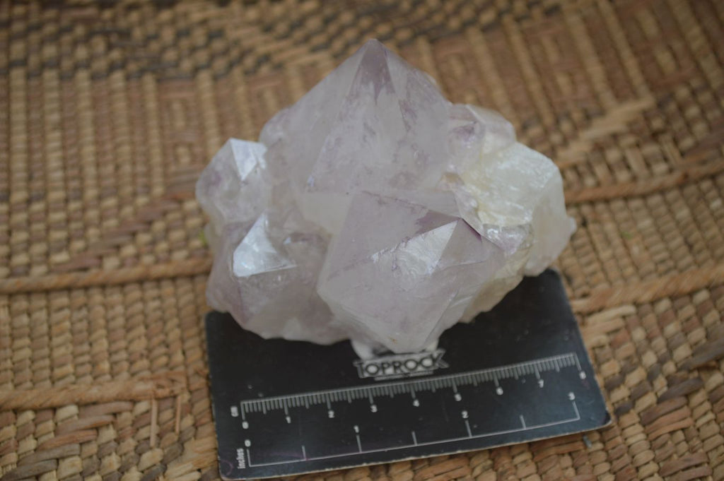 Natural Extra Large Spirit Quartz Crystals  x 4 From Boekenhouthoek, South Africa - Toprock Gemstones and Minerals 