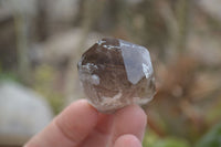 Natural Clear Smokey Quartz Crystals  x 12 From Malawi - Toprock Gemstones and Minerals 