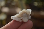 Natural Single White Spirit Quartz Crystals x 70 From Boekenhouthoek, South Africa - Toprock Gemstones and Minerals 