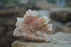 Natural Pink Candle Quartz Specimens   x 5 From Madagascar - Toprock Gemstones and Minerals 