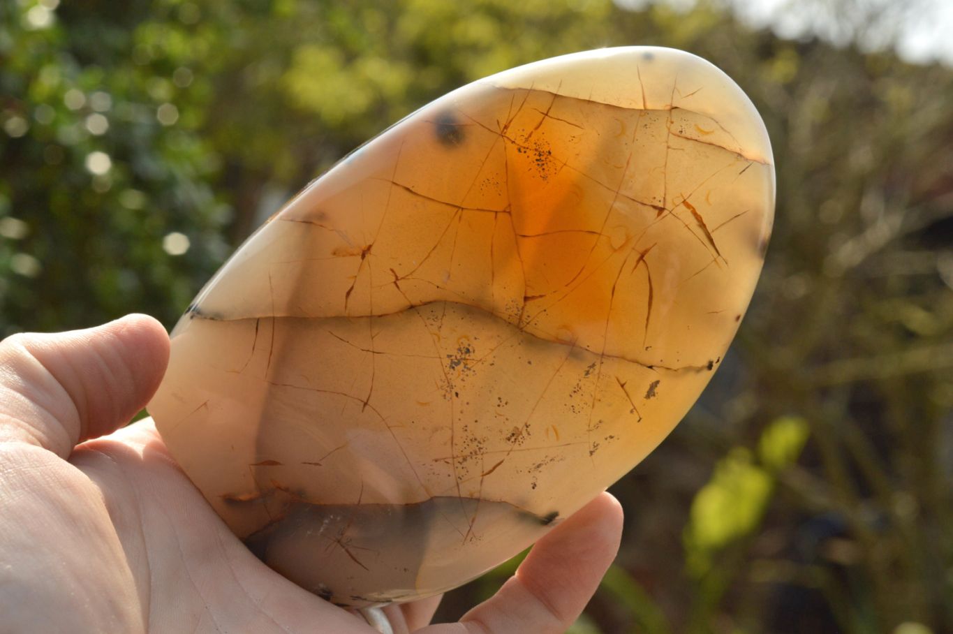 Polished Dendritic Agate Standing Free Forms  x 3 From Moralambo, Madagascar - TopRock