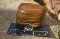 Polished Golden Tigers Eye Free Forms x 6 From Prieska, South Africa