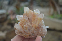 Natural Pink Candle Quartz Specimens   x 5 From Madagascar - Toprock Gemstones and Minerals 