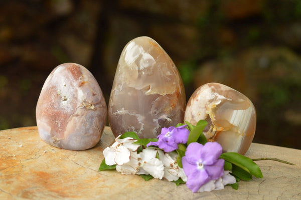 Polished Coral Flower Agate Standing Free Forms  x 3 From Madagascar - TopRock