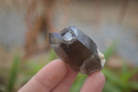 Natural Clear Smokey Quartz Crystals  x 12 From Malawi - Toprock Gemstones and Minerals 