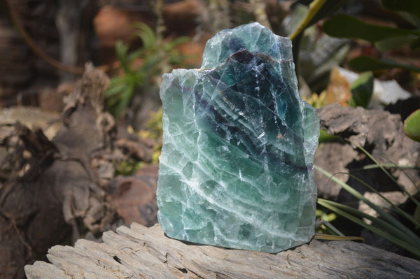 Polished Watermelon Fluorite Standing Free Form  x 1 From Uis, Namibia - Toprock Gemstones and Minerals 