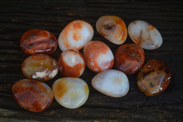 Polished Carnelian Agate Palm Stones  x 6 From Madagascar