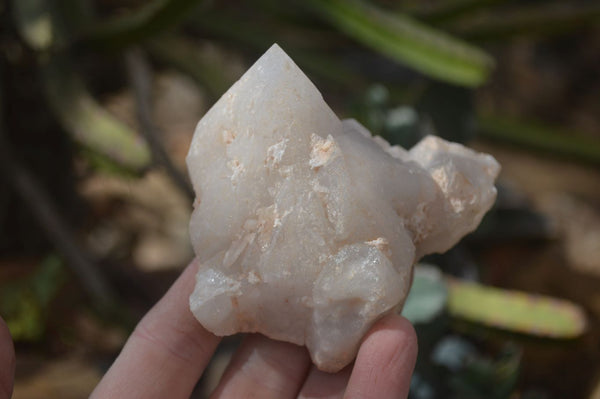 Natural Cathedral Window Quartz Crystals  x 6 From Madagascar - Toprock Gemstones and Minerals 