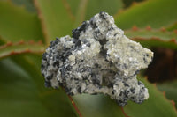 Natural Schorl Black Tourmaline Specimens x 12 From Erongo, Namibia