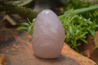 Polished Pink Rose Quartz Standing Free Forms x 2 From Ambatondrazaka, Madagascar - TopRock
