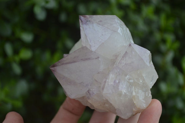 Natural Extra Large Spirit Quartz Crystals  x 4 From Boekenhouthoek, South Africa - Toprock Gemstones and Minerals 