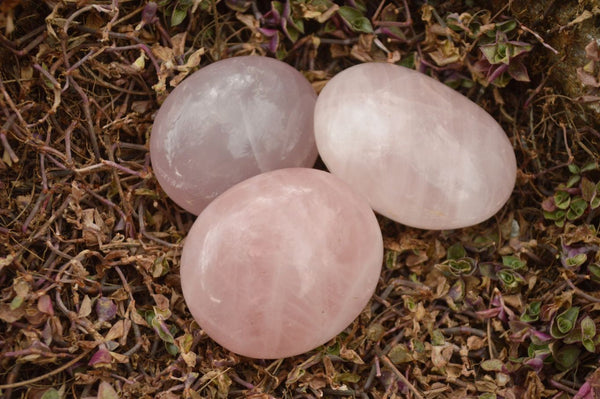 Polished Gemmy Pink Rose Quartz Palm Stones  x 12 From Ambatondrazaka, Madagascar - TopRock
