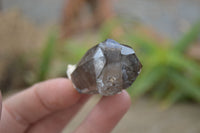 Natural Clear Smokey Quartz Crystals  x 12 From Malawi - Toprock Gemstones and Minerals 