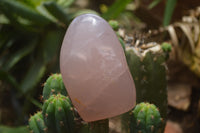 Polished Pink Rose Quartz Standing Free Forms x 2 From Ambatondrazaka, Madagascar - TopRock