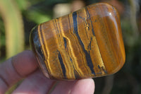 Polished Golden Tigers Eye Free Forms x 6 From Prieska, South Africa