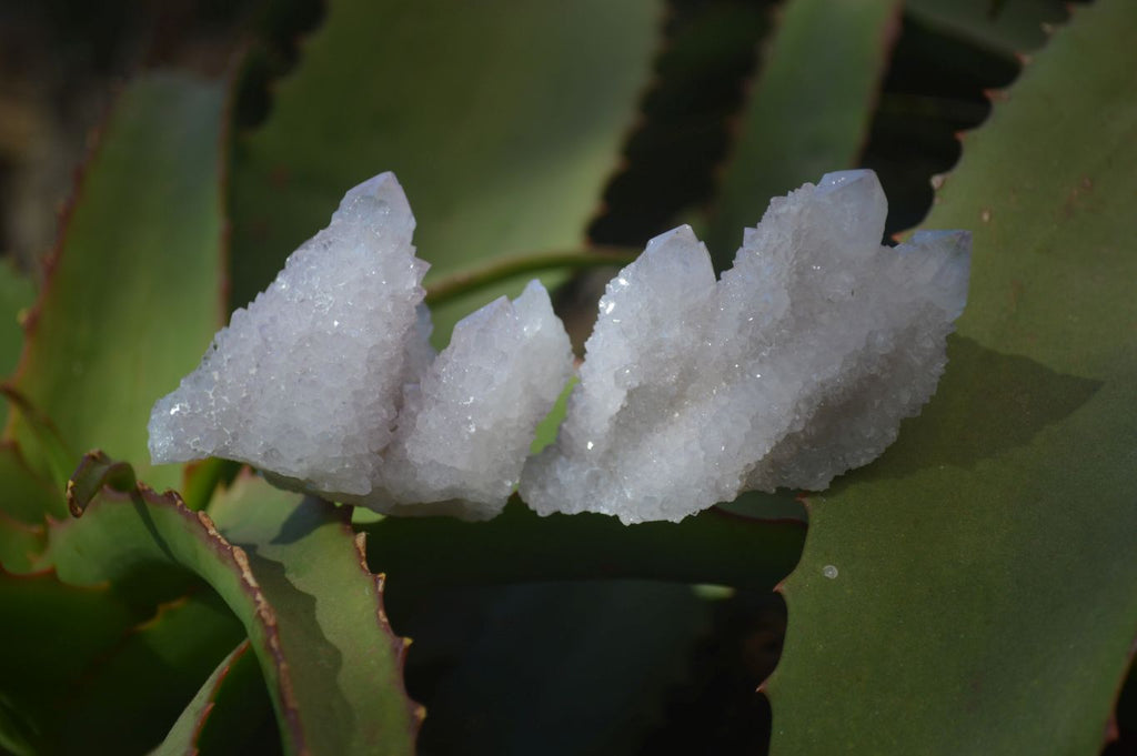 Natural Pale Lilac Spirit Quartz Crystals x 12 From Boekenhouthoek, South Africa - Toprock Gemstones and Minerals 