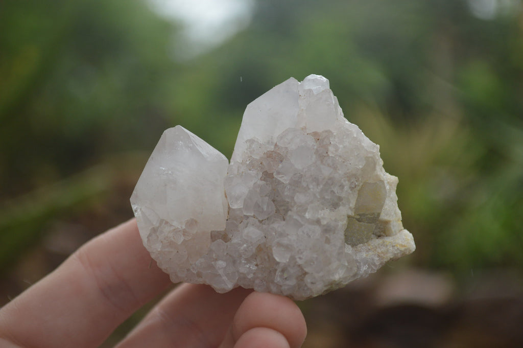 Natural Small Mixed Spirit Quartz Clusters / Crystals  x 24 From Boekenhouthoek, South Africa - TopRock