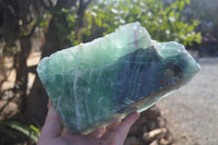 Polished Watermelon Fluorite Standing Free Form  x 1 From Uis, Namibia - Toprock Gemstones and Minerals 