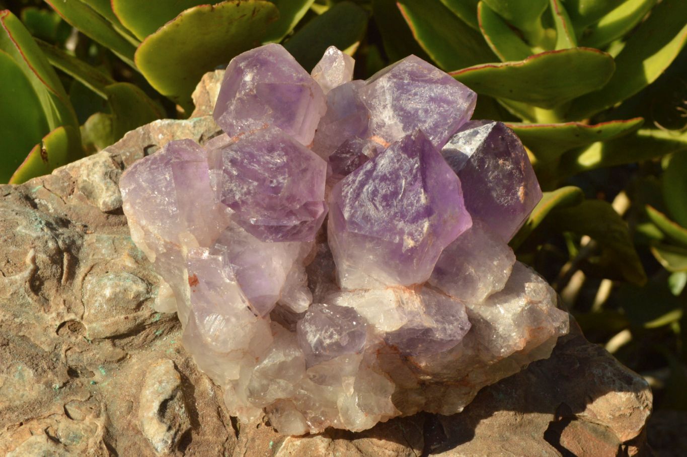 Natural Jacaranda Amethyst Quartz Clusters x 2 From Zambia - TopRock
