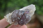 Natural Large Smokey Amethyst / Window Amethyst Crystals  x 6 From Chiredzi, Zimbabwe - Toprock Gemstones and Minerals 