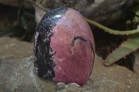 Polished Pink & Black Rhodonite Standing Free Forms x 3 From Madagascar - Toprock Gemstones and Minerals 