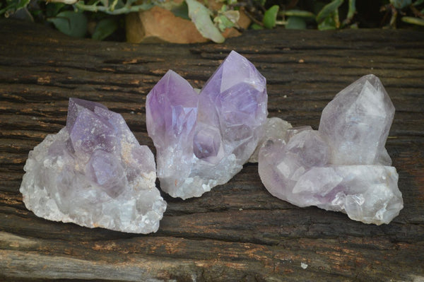 Natural Jacaranda Amethyst Clusters  x 3 From Zambia