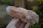 Natural Pink Candle Quartz Specimens   x 5 From Madagascar - Toprock Gemstones and Minerals 