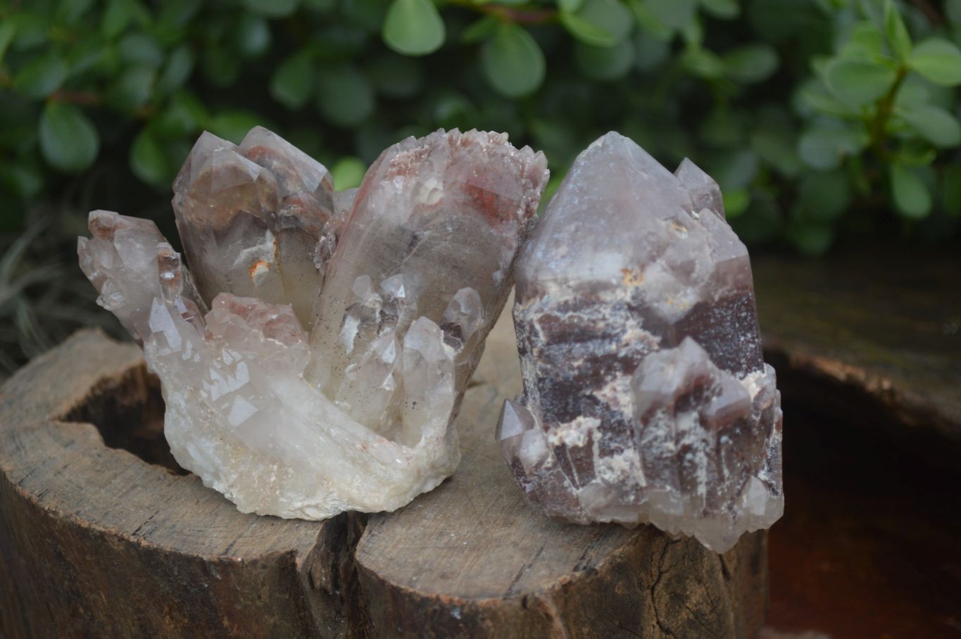 Natural Red Hematoid Quartz Clusters x 6 From Karoi, Zimbabwe - Toprock Gemstones and Minerals 