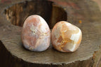 Polished Coral Flower Agate Standing Free Forms  x 3 From Madagascar - TopRock