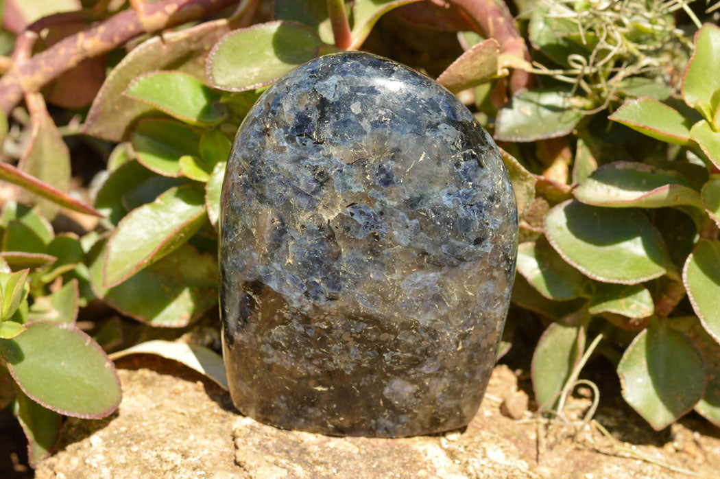 Polished Rare Iolite / Water Sapphire Standing Free Forms  x 3 From Madagascar - TopRock