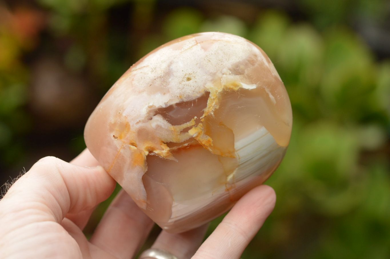 Polished Coral Flower Agate Standing Free Forms  x 3 From Madagascar - TopRock