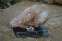 Natural Pink Candle Quartz Specimens   x 5 From Madagascar - Toprock Gemstones and Minerals 