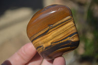 Polished Golden Tigers Eye Free Forms x 6 From Prieska, South Africa
