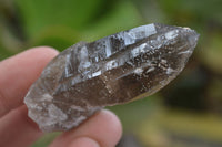 Natural Clear Smokey Quartz Crystals  x 12 From Malawi - Toprock Gemstones and Minerals 