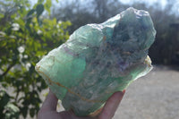 Polished Watermelon Fluorite Standing Free Form  x 1 From Uis, Namibia - Toprock Gemstones and Minerals 