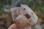 Natural Red Hematoid Quartz Clusters x 6 From Karoi, Zimbabwe - Toprock Gemstones and Minerals 