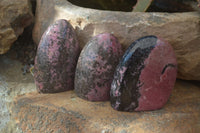 Polished Pink & Black Rhodonite Standing Free Forms x 3 From Madagascar - Toprock Gemstones and Minerals 