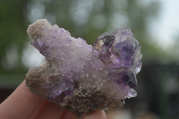 Natural Large Smokey Amethyst / Window Amethyst Crystals  x 6 From Chiredzi, Zimbabwe - Toprock Gemstones and Minerals 