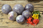 Polished Small Purple Lepidolite Spheres (Rubellite Inclusions on some) x 6 From Madagascar - TopRock