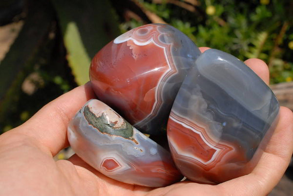 Polished Red Sashe River Banded Agate Free Forms x 12 From Zimbabwe - TopRock