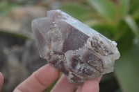 Natural Red Hematoid Quartz Clusters x 6 From Karoi, Zimbabwe - Toprock Gemstones and Minerals 