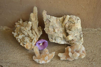 Natural Fairy Spirit Quartz Fingers & Or Clusters x 5 From Boekenhouthoek, South Africa - TopRock